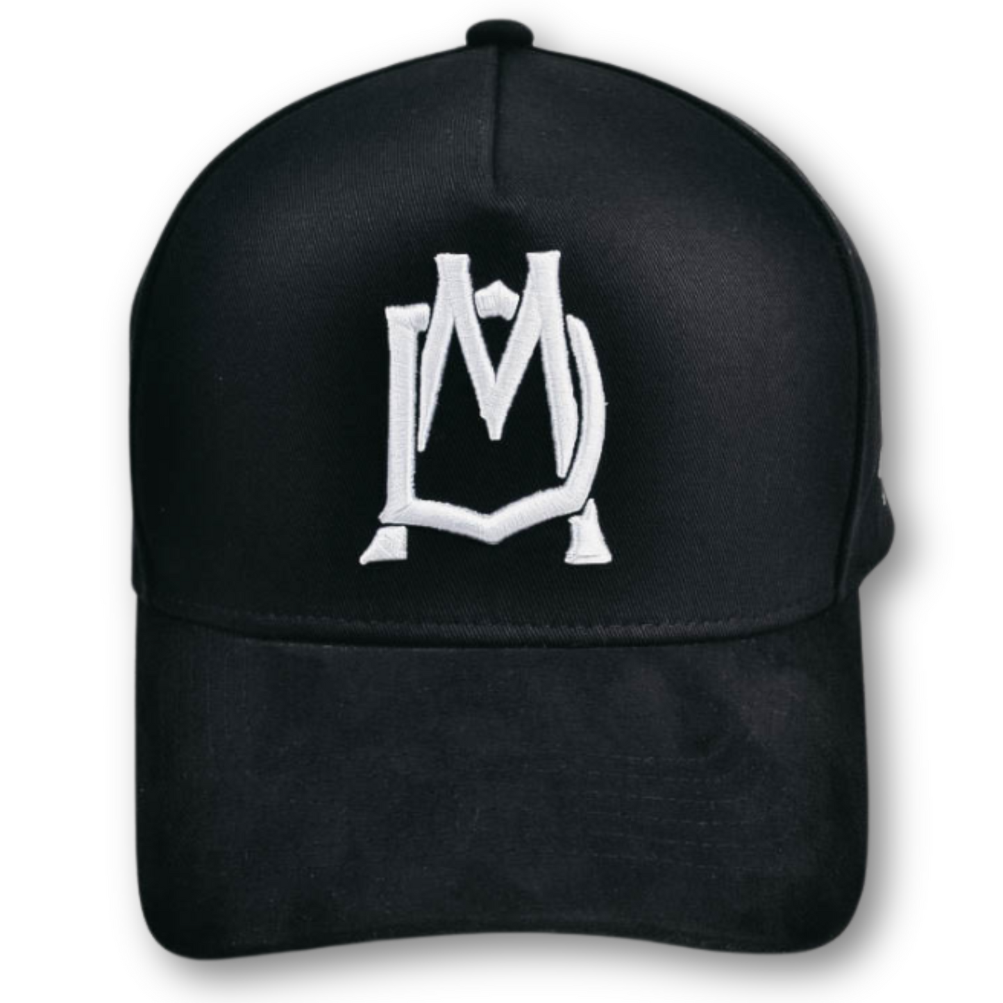 DM Snapback Hat