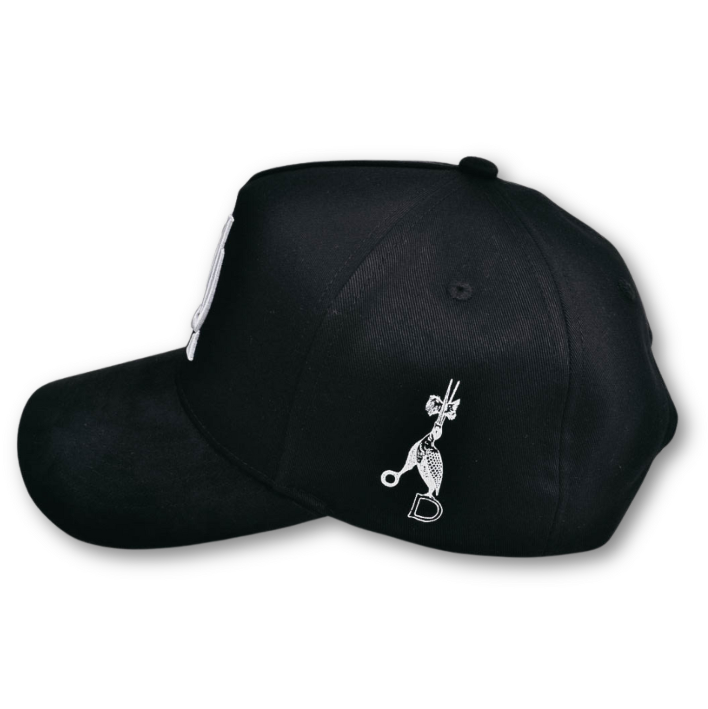 DM Snapback Hat