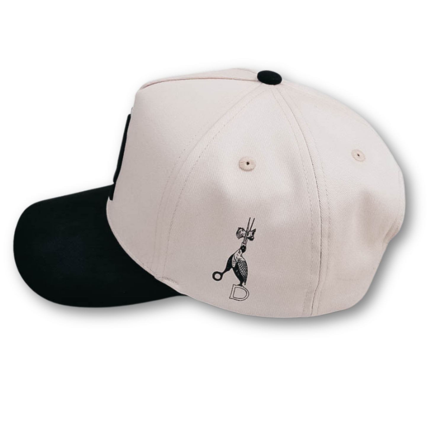 DM Snapback Hat