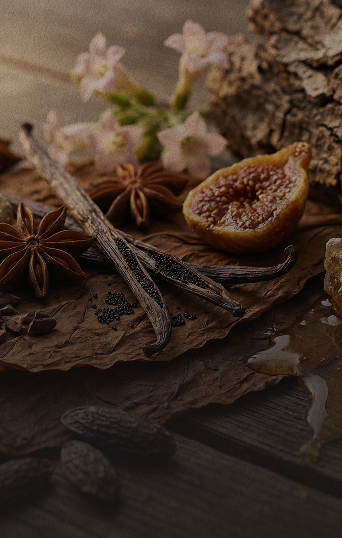 Not sure which scent is right for you?