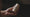 Image to render