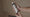 Image to render