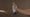 Image to render