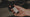 Image to render